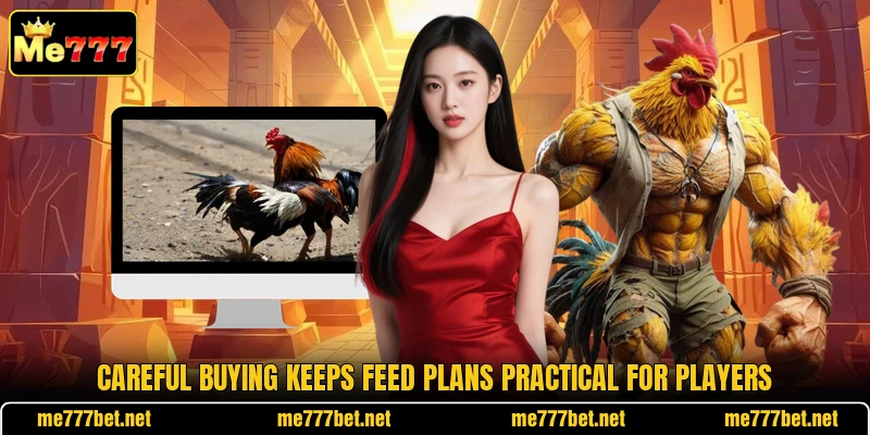 Careful buying keeps feed plans practical for players Careful buying keeps feed plans practical for players