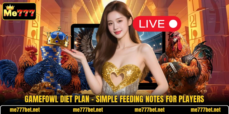 Gamefowl Diet Plan - Simple Feeding Notes For Players Gamefowl Diet Plan - Simple Feeding Notes For Players