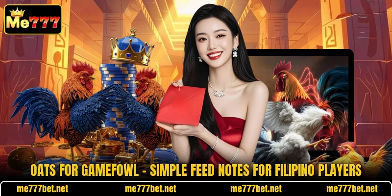 Oats For Gamefowl - Simple Feed Notes For Filipino Players Oats For Gamefowl - Simple Feed Notes For Filipino Players