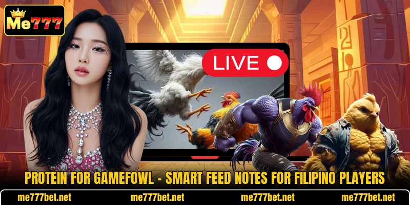Protein For Gamefowl - Smart Feed Notes For Filipino Players Protein For Gamefowl - Smart Feed Notes For Filipino Players