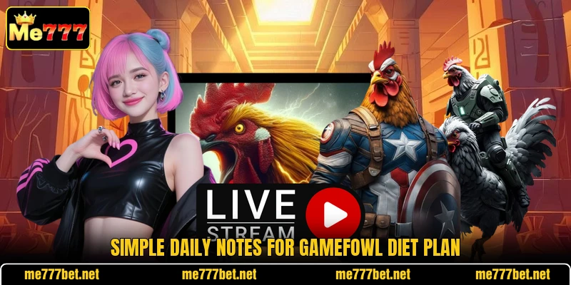 Simple daily notes for gamefowl diet plan Simple daily notes for gamefowl diet plan